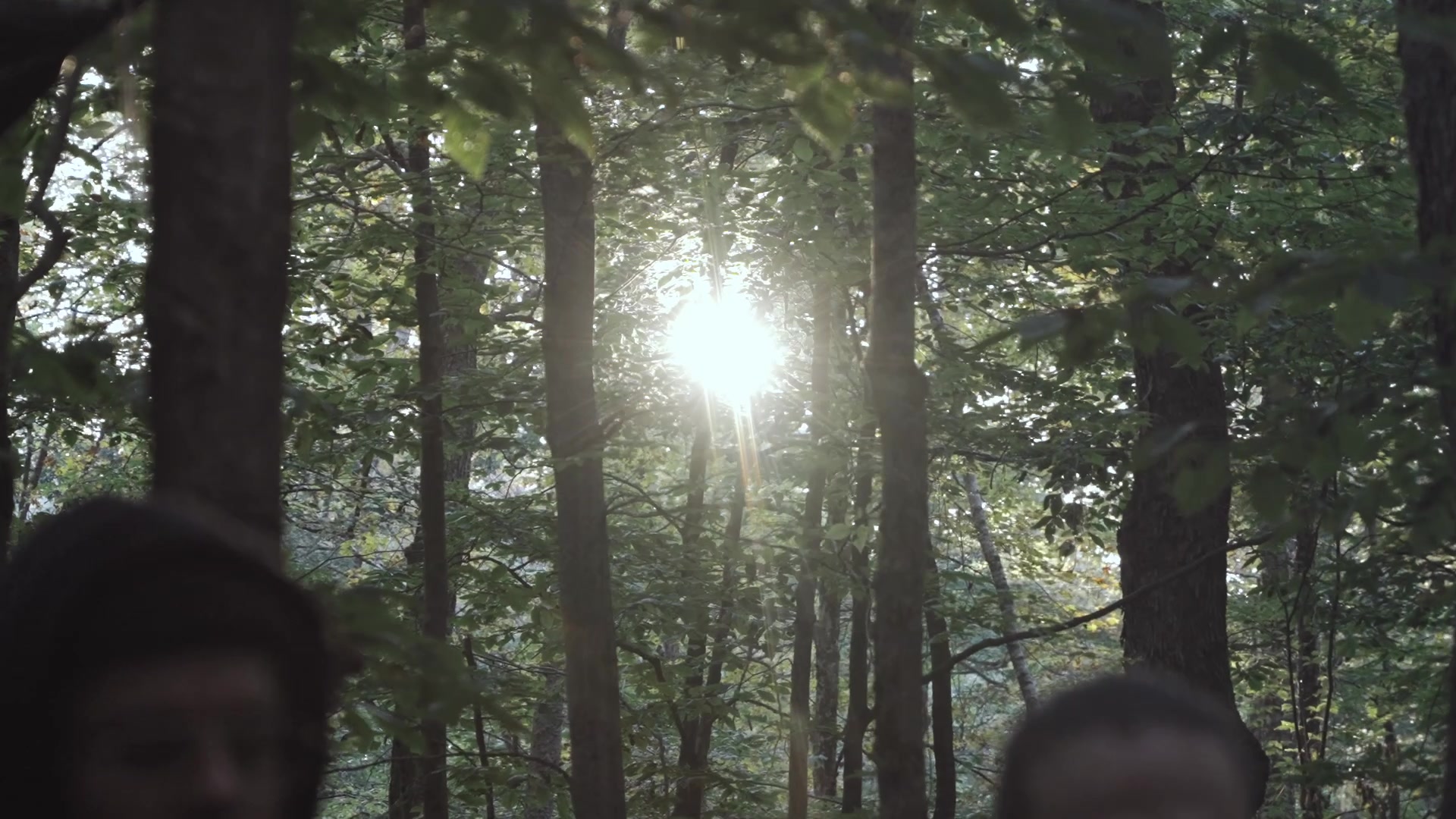 Sun breaking through the forest canopy with two men in silhouette below